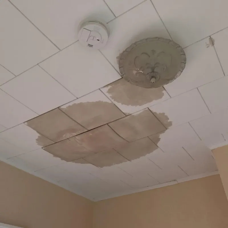 Ceiling Water Damage Repair in East Tawas, MI